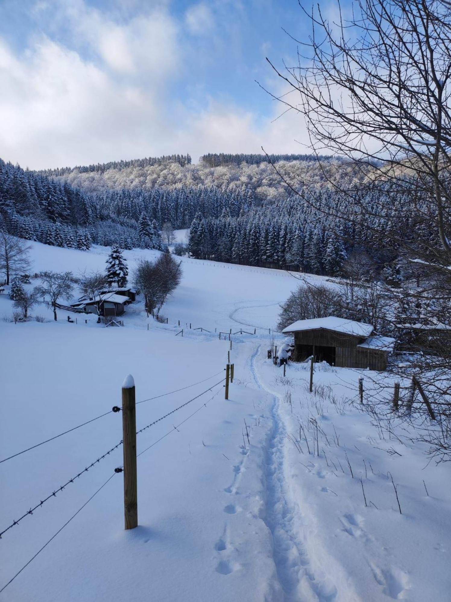 Ferienwohnung Finkeldei Winterberg Bagian luar foto